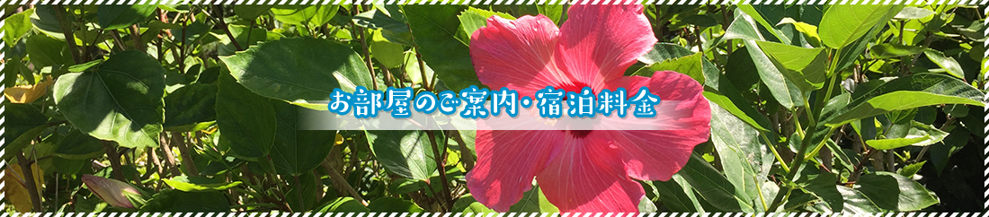 お部屋のご案内・宿泊料金